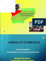 Jaringan Tumbuhan