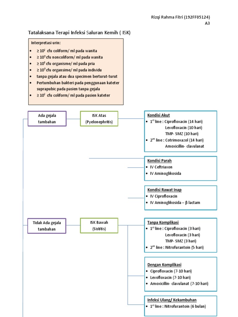 Tatalaksana Terapi AOM, ISK, HIV | PDF