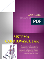 Sistema Cardiovascular 2011........