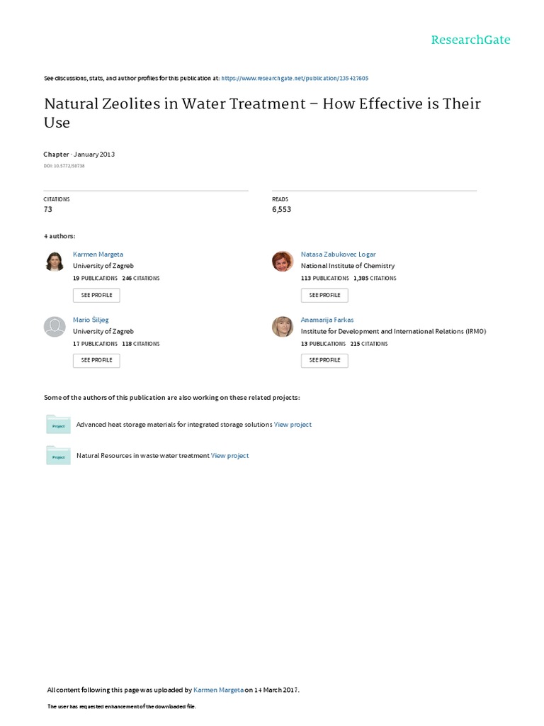 Natural Zeolites in Water Treatment How Effectiv PDF Zeolite