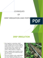 Techniques OF Drip Irrigation and Fertigation