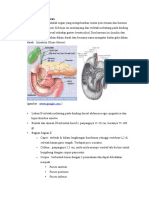 anatomi, histologi dan fisiologi.docx