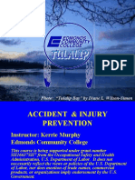 Fy07 Sh 16637 07 Acc Injury Prev2