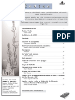 Boletín - 22