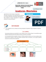 ACTIVIDAD N°294 Organizadores-Mentales