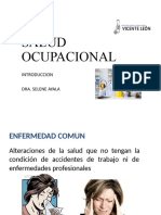 ENFERMEDAD OCUPACIONAL INTRODUCCION