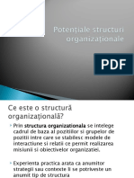 Potențiale Structuri Organizaționale