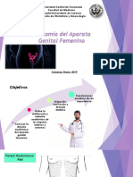 Anatomía Ginecológica 2019