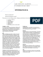 hydrangeaa.pdf