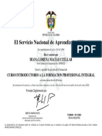 Curso Introductorio A La Formacion Profesional Integral