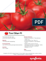Tovi Star Flyer PDF