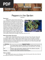Peppers in The Garden PDF | PDF | Mulch | Capsicum