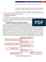 Alimentation Énergétique Module Agronomie II PDF