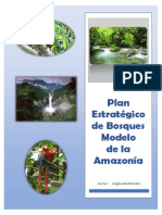 Plan Estratégico de Bosques Modelo de La Amazonía