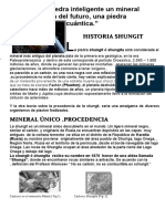 Historia de La Shungite, La Piedra Inteligente PDF