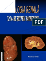 Patologia Renala