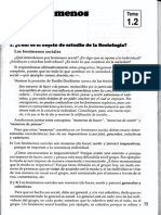 Fenómenos sociales: características esenciales