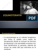 Equinoterapia.pdf