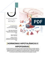 Hormonas Liberadoras Del Hipotalamoo