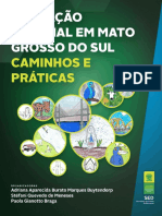 Educação-Especial-em-MS-Caminhos-e-Práticas.pdf