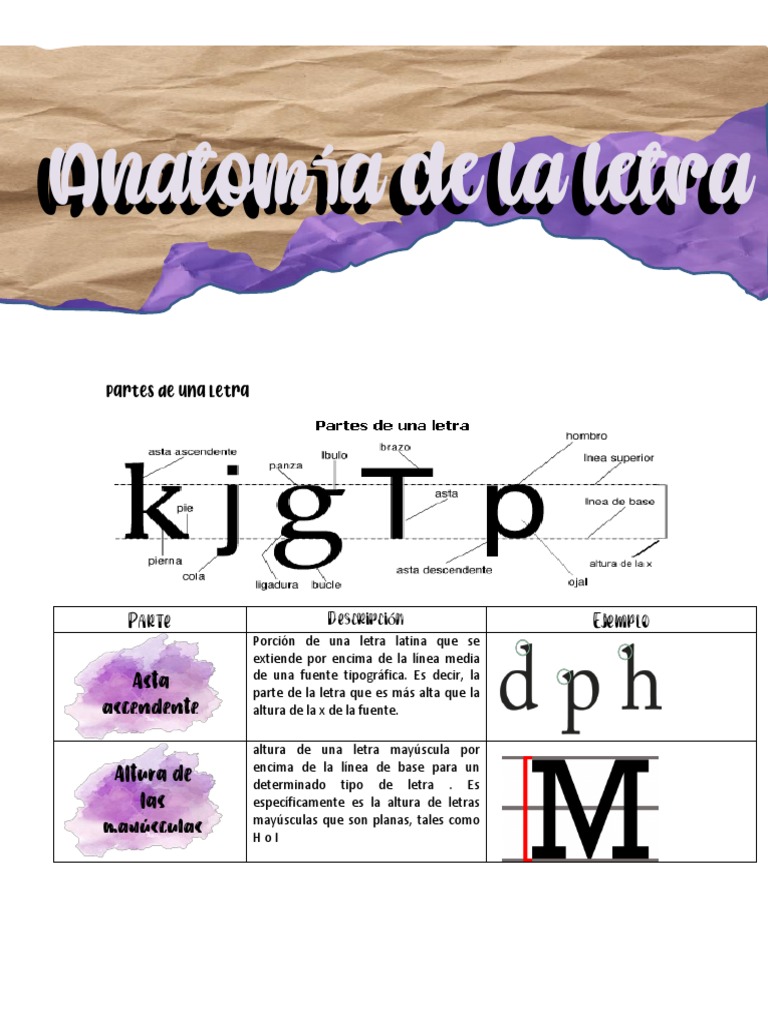 Anatomia de Las Letras | PDF | Escritura | Diseño gráfico