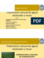 SESION 11-PARTE 1-TRATAMIENTO NATURAL DE ARs -INTRODUCCION