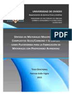 Materiales de Sílice Mesoestructurada PDF