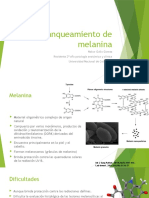 Blanqueamiento de Melanina