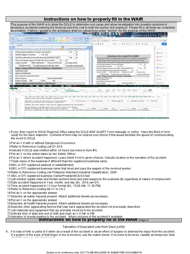 WAIR Submission Guidelines for DOLE | PDF