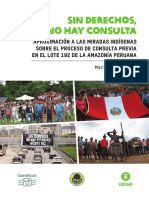 Sin_Derechos_No_Hay_Consulta.pdf