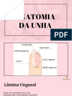 Anatomia Das Unhas PDF