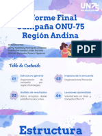 Informe Final Campaña ONU75 Región Andina