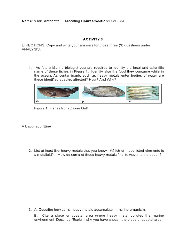 Name: Marie Antonette C. Macatiag Course/Section:BSMB 3A | PDF ...