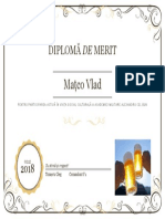 Diplomă de Merit: Mațco Vlad