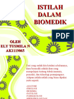Biomed Point 2 (Ely Tusmila Nurhayati Ak1119065)