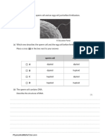 DNA & Protein Synthesis 1 QP