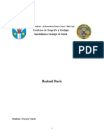 Bazinul Dacic PDF