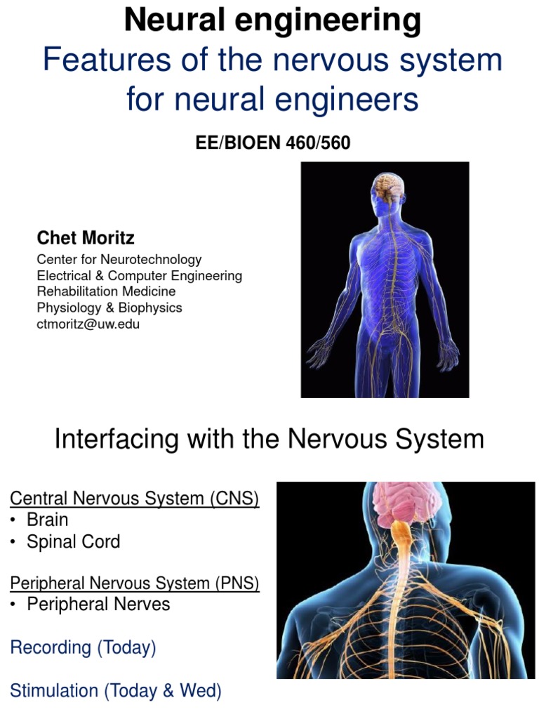 Neural Engineering: Interfacing with the Nervous System | PDF | Nervous ...