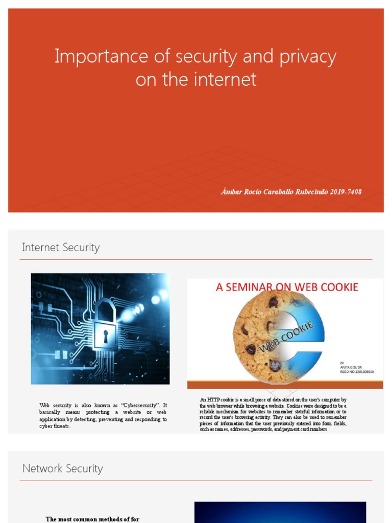 Importance of Security and Privacy On The Internet - Exposition | PDF ...