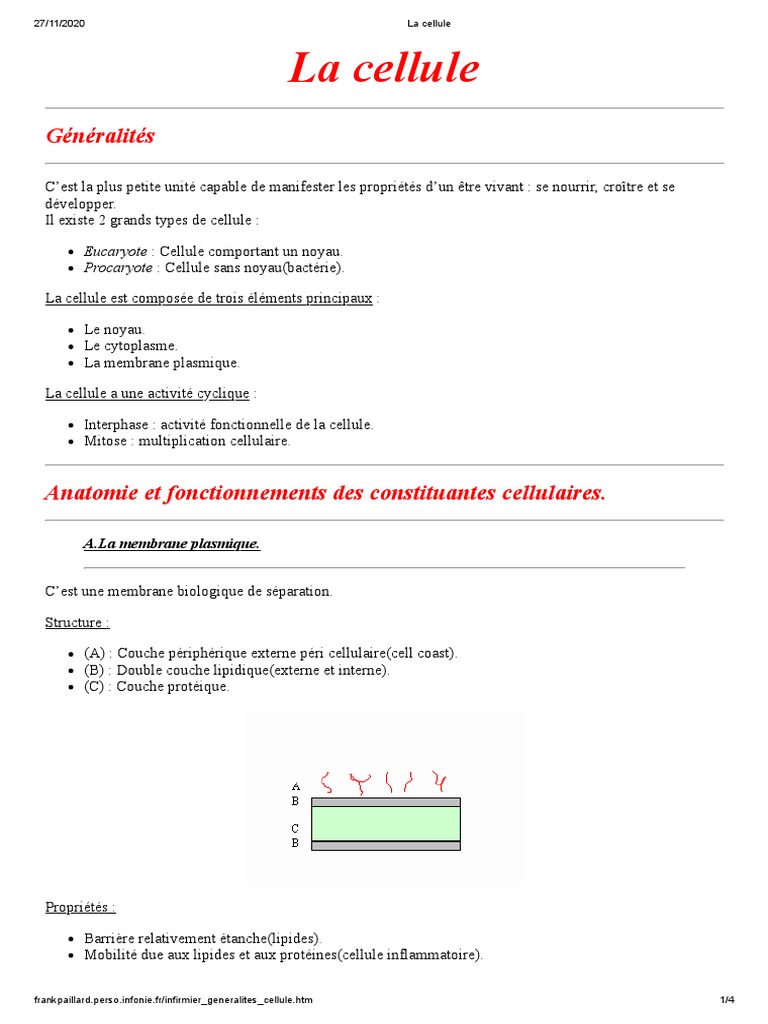 La Cellule PDF | PDF | Noyau (biologie) | Cellule (Biologie)
