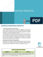 Sesión 05 Matriz Tripartita PDF