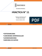 PG-Práctica 11-UNFV