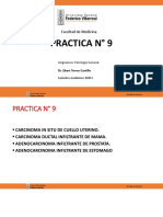 PG-Práctica 9 - UNFV