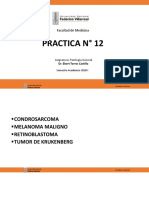 PG-Práctica 12-UNFV.pdf