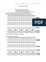 Protein Synthesis Worksheet: Fill in DNA, mRNA, Codons & Amino Acids