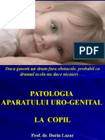 Cursul nr. 9 Infecțiile de tract urinar