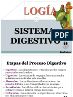 SISTEMA DIGESTIVO BIOTADEO.pdf