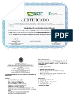 Certificado Programador Web - Novos Caminhos - IFTO - 200 Horas