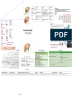 Colecistitis Aguda
