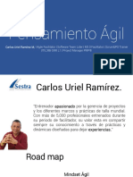Taller Agile Mindset PDF